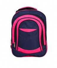 Faisal Raza Bag 15.6 inch Expandable Laptop Backpack 30 L Backpack(pink&blue)