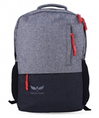 Frista30 Liters Casual Bagpack/School Bag/Laptop Backpack(Grey::Black)