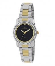 Maxima Analog Black Dial Women`s Watch - 43014CMLT