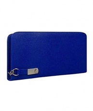 Rasm Fashion Women`s Clutch, Wallet(blue)