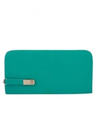 Rasm Fashion Women`s Clutch, Wallet(firoji)