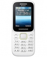 Samsung Guru Music 2 SM-B310E (Whit