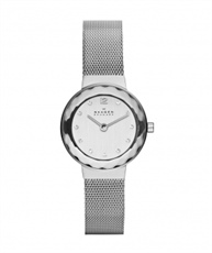 Skagen End-of-Season Classic Analog Silver Dial Women`s Watch