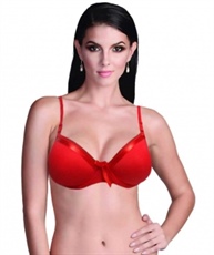 Velvet Dreams Red Velvet Bra