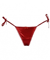 Velvet Dreams Satin Bikini Panties