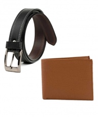 Winsome Mens Money Saver Combo of Belt and wallet