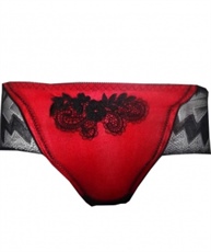 Women Hipster Red Panty  (Pack of 1)